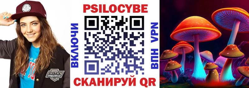 Псилоцибиновые грибы Psilocybe  Купить где  Меленки 